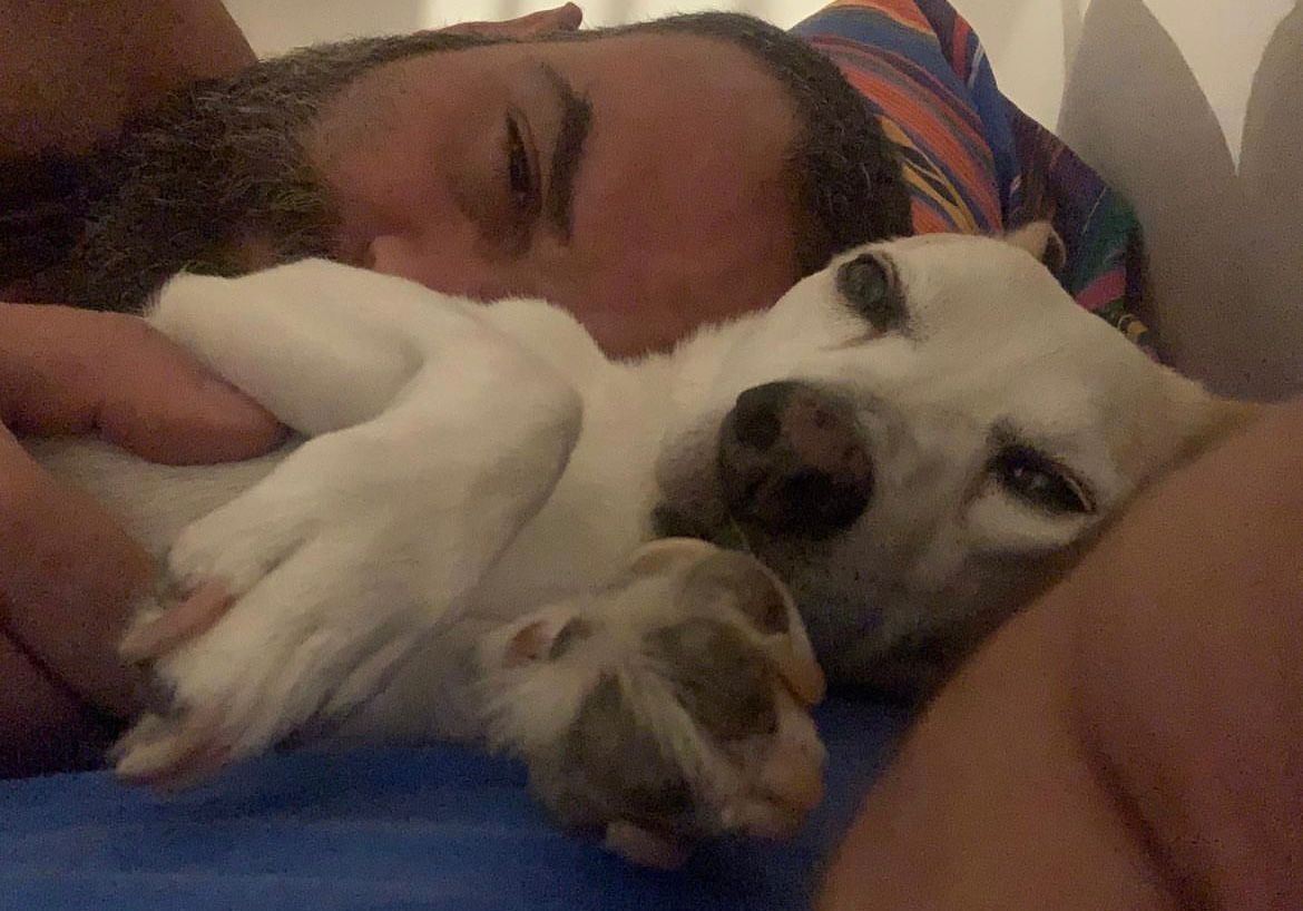 cercando boris.